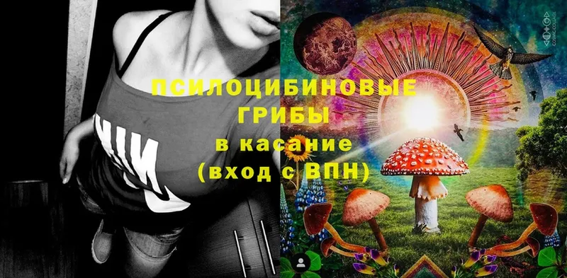 купить  сайты  Суоярви  Галлюциногенные грибы ЛСД 